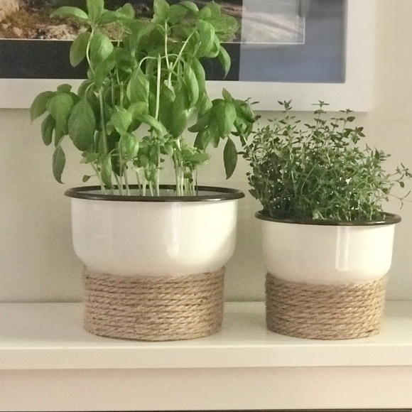 Flower Pot - Picture 5 of 6